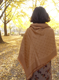Louis Vuitton  shawl 