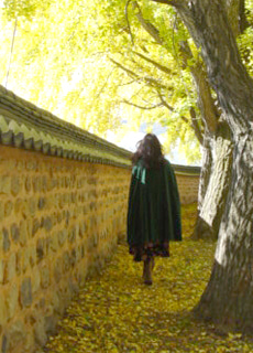 like in the movies....Jane Eyre green velvet cape coat